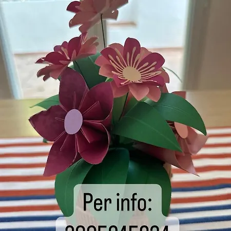 Salentohouse Appartamento